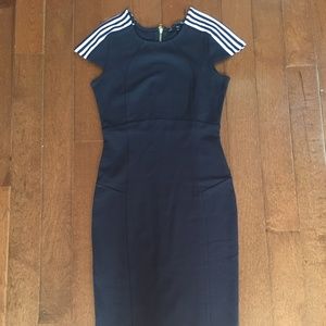 Felicity & Coco Black Ward Seamed Pencil Dress